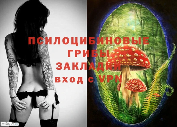 герыч Арсеньев