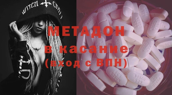шишки Аркадак