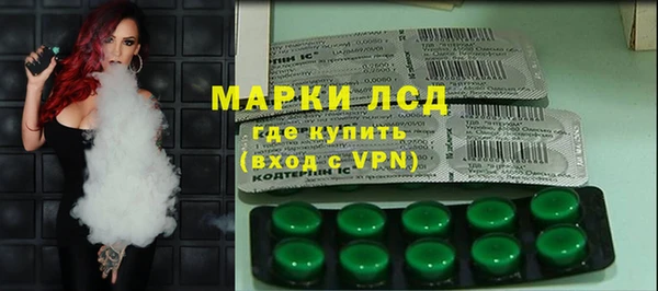 шишки Аркадак