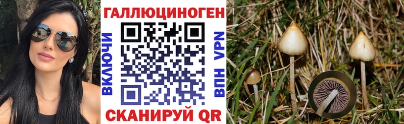 Псилоцибиновые грибы Cubensis  Тайга 